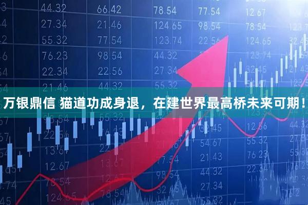 万银鼎信 猫道功成身退，在建世界最高桥未来可期！