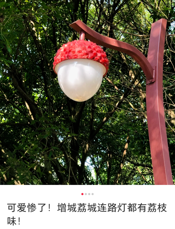 郑州配资网 好甜！“广东特产”又出圈了！