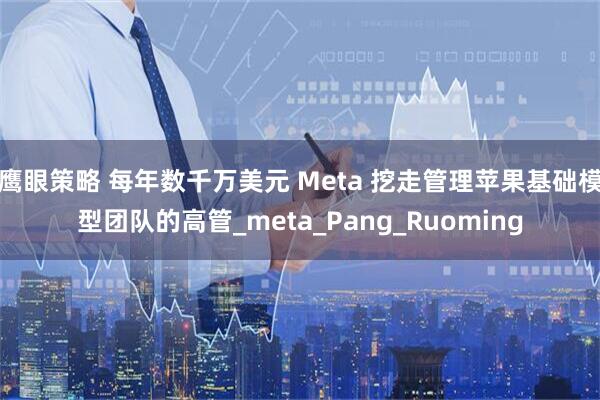 鹰眼策略 每年数千万美元 Meta 挖走管理苹果基础模型团队的高管_meta_Pang_Ruoming