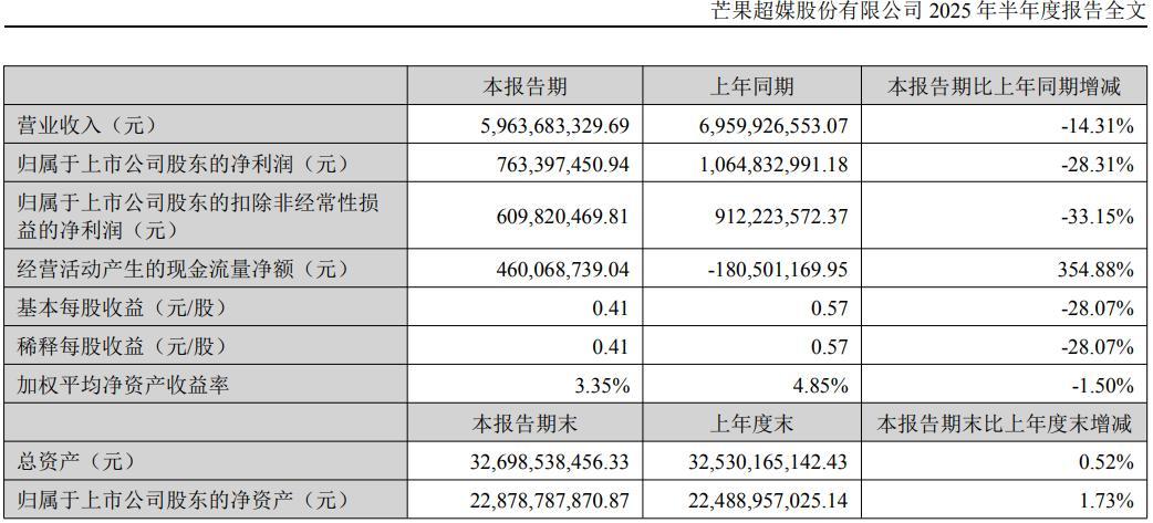 图片来源：2025年中报截图